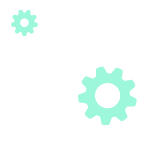 Strategic finance support for established enterprises